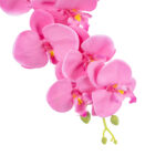 GloboStar® Artificial Garden  PINK ORCHID BRANCH 21131 Τεχνητό Διακοσμητικό Κλαδί Ορχιδέας Y85cm - Image 3