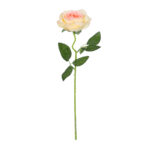 GloboStar® Artificial Garden CHAMPAGNE ROSE BRANCH 21141 Τεχνητό Διακοσμητικό Κλαδί Σαμπανιζέ Τριαντάφυλλο Y50cm - Image 2