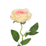 GloboStar® Artificial Garden CHAMPAGNE ROSE BRANCH 21141 Τεχνητό Διακοσμητικό Κλαδί Σαμπανιζέ Τριαντάφυλλο Y50cm - Image 3