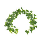 GloboStar® Artificial Garden ENGLISH IVY GARLAND 21146 Τεχνητή Διακοσμητική Αγγλική Γυρλάντα  Φ20 x Υ200cm Σετ 2 τεμαχίων - Image 2