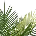 GloboStar® Artificial Garden PALM TREE 21153 Τεχνητό Διακοσμητικό Δέντρο Φοίνικας Μ100 x Π50 x Υ90cm - Image 3