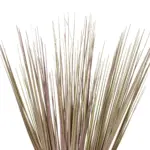 GloboStar® Artificial Garden BEIGE GRASS BOUQUET 21160 Τεχνητό Διακοσμητικό Μπουκέτο Grass Μπεζ Y70cm - Image 3