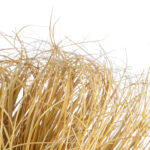 GloboStar® Artificial Garden GRASS BUSH PLANT 21165 Τεχνητό Διακοσμητικό Φυτό Θάμνος Grass Π50cm Y30cm - Image 3