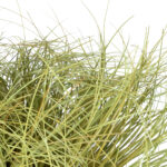 GloboStar® Artificial Garden GRASS BUSH PLANT 21166 Τεχνητό Διακοσμητικό Φυτό Θάμνος Grass Π50cm Y30cm - Image 3