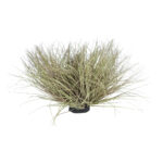 GloboStar® Artificial Garden GRASS BUSH PLANT 21167 Τεχνητό Διακοσμητικό Φυτό Θάμνος Grass Π50cm Y30cm - Image 2