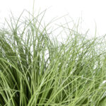 GloboStar® Artificial Garden GRASS BUSH PLANT 21168 Τεχνητό Διακοσμητικό Φυτό Θάμνος Grass Π50cm Y30cm - Image 3