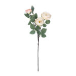 GloboStar® Artificial Garden CHAMPAGNE CLIMBING ROSE BRANCH 21183 Τεχνητό Διακοσμητικό Κλαδί Τριαντάφυλλο Σαμπανιζέ Y70cm - Image 2