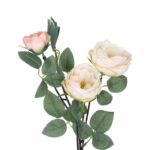 GloboStar® Artificial Garden CHAMPAGNE CLIMBING ROSE BRANCH 21183 Τεχνητό Διακοσμητικό Κλαδί Τριαντάφυλλο Σαμπανιζέ Y70cm - Image 3