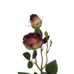 GloboStar® Artificial Garden RED DAMASK CLIMBING ROSE BRANCH 21197 Τεχνητό Διακοσμητικό Κλαδί Τριαντάφυλλο Κόκκινο Y55cm - Image 3