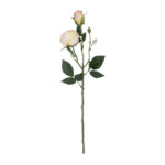 GloboStar® Artificial Garden CHAMPAGNE DAMASK CLIMBING ROSE BRANCH 21198 Τεχνητό Διακοσμητικό Κλαδί Τριαντάφυλλο Σαμπανιζέ Y55cm - Image 2