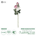 GloboStar® Artificial Garden PINK DAMASK CLIMBING ROSE BRANCH 21199 Τεχνητό Διακοσμητικό Κλαδί Τριαντάφυλλο Σαμπανιζέ Y55cm