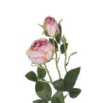 GloboStar® Artificial Garden PINK DAMASK CLIMBING ROSE BRANCH 21199 Τεχνητό Διακοσμητικό Κλαδί Τριαντάφυλλο Σαμπανιζέ Y55cm - Image 3