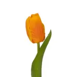 GloboStar® Artificial Garden ORANGE TULIP BRANCH 21202 Τεχνητό Διακοσμητικό Κλαδί Πορτοκαλί Τουλίπα Y37cm - Image 3