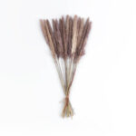 GloboStar® Artificial Garden REAL DRIED BROWN PAMPAS GRASS BUNCH 21215 Αποξηραμένο Διακοσμητικό Μπουκέτο Pampas Kάφε Y50cm - Σετ 15 τμχ - Image 2