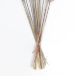 GloboStar® Artificial Garden REAL DRIED BROWN PAMPAS GRASS BUNCH 21215 Αποξηραμένο Διακοσμητικό Μπουκέτο Pampas Kάφε Y50cm - Σετ 15 τμχ - Image 4