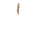 GloboStar® Artificial Garden PAMPAS GRASS 21217 Αποξηραμένο Διακοσμητικό Γρασίδι Πάμπας Μ10 x Π10 x Υ150cm - Image 2
