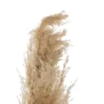 GloboStar® Artificial Garden PAMPAS GRASS 21217 Αποξηραμένο Διακοσμητικό Γρασίδι Πάμπας Μ10 x Π10 x Υ150cm - Image 4