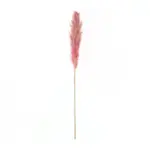 GloboStar® Artificial Garden PAMPAS GRASS 21218 Αποξηραμένο Διακοσμητικό Γρασίδι Πάμπας Μ10 x Π10 x Υ150cm - Image 2