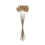 GloboStar® Artificial Garden REAL DRIED BEIGE WHEAT BUNCH  21219 Αποξηραμένο Διακοσμητικό Μπουκέτο Σιταριού Y50cm - Σετ 30 τμχ - Image 2