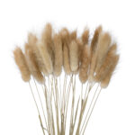 GloboStar® Artificial Garden REAL DRIED BEIGE WHEAT BUNCH  21219 Αποξηραμένο Διακοσμητικό Μπουκέτο Σιταριού Y50cm - Σετ 30 τμχ - Image 3