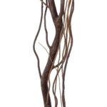 GloboStar® Artificial Garden REAL DRIED WITHERED VINE STEM 21221 Τεχνητό Διακοσμητικό Κλαδί Αμπελιού Y180cm - Image 3