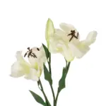 GloboStar® Artificial Garden WHITE LILY BRANCH 21310 Τεχνητό Διακοσμητικό Κλαδί Λευκό Κρίνο Y90cm - Image 3
