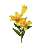 GloboStar® Artificial Garden YELLOW LILY BRANCH 21311 Τεχνητό Διακοσμητικό Κλαδί Κίτρινο Κρίνο Y72cm - Image 3