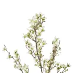 GloboStar® Artificial Garden WHITE FORSYTHIA BRANCH 21326 Τεχνητό Διακοσμητικό Λευκό Κλαδί Φορσύθιας Y83cm - Image 3