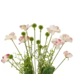 GloboStar® Artificial Garden PINK CANAION FLOWER BOUQUET 21327 Τεχνητό Διακοσμητικό Μπουκέτο Ροζ Κάννα Y60cm - Image 3