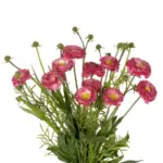 GloboStar® Artificial Garden PINK CHRYSANTHEMUM BOUQUET 21328 Τεχνητό Διακοσμητικό Μπουκέτο Ροζ Χρυσάνθεμο Y50cm - Image 3