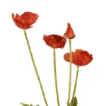 GloboStar® Artificial Garden RED POPPY BRANCH 21333 Τεχνητό Διακοσμητικό Κλαδί Παπαρούνα Κόκκινη Y50cm - Image 3