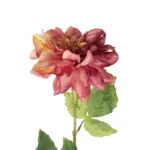 GloboStar® Artificial Garden PINK DHALIA BRANCH 21334 Τεχνητό Διακοσμητικό Ροζ Κλαδί Ντάλια Y60cm - Image 3
