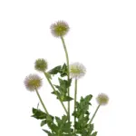 GloboStar® Artificial Garden PURPLE PINK BOUQET 21366 Τεχνητό Διακοσμητικό Ταραξάκο Μπουκέτο Y70cm - Image 3