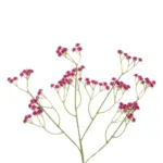 GloboStar® Artificial Garden PINK BRANCH BABY BREATH 21368 Τεχνητό Διακοσμητικό Κλαδί Ροζ Γυψοφίλης Y61cm - Image 3