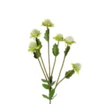 GloboStar® Artificial Garden GREEN IRON THREAD BRANCH 21372 Τεχνητό Διακοσμητικό Κλαδί Πράσινο Ασπιδίστρα  Y57cm - Image 3