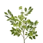 GloboStar® Artificial Garden GREEN EIGHT TREASURE FRUIT BRANCH 21373 Τεχνητό Διακοσμητικό Κλαδί Eight Tresure Πράσινο Y87cm - Image 3