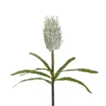 GloboStar® Artificial Garden WHITE STIPA FRUIT BRANCH 21374 Τεχνητό Διακοσμητικό Κλαδί Στίπα Y69cm - Image 3