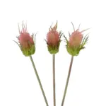 GloboStar® Artificial Garden PINK VELVET FRUIT BOUQET 21377 Τεχνητό Διακοσμητικό  Μπουκέτο Βερμπάσκο Y56cm - Image 3