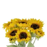 GloboStar® Artificial Garden YELLOW SUNFLOWER BRANCH 21382 Τεχνητό Διακοσμητικό Κλαδί Ηλιοτρόπιο Κίτρινο Y55cm - Image 3