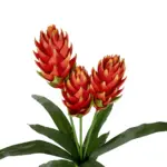 GloboStar® Artificial Garden RED MOON PEACH BRANCH 21391 Τεχνητό Διακοσμητικό Κόκκινο Κλαδί Άνθος Ροδάκινου Y70cm - Image 3