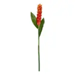 GloboStar® Artificial Garden RED MOON PEACH BRANCH 21392 Τεχνητό Διακοσμητικό Κόκκινο Κλαδί Άνθος Ροδάκινου Y105cm - Image 2