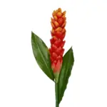 GloboStar® Artificial Garden RED MOON PEACH BRANCH 21392 Τεχνητό Διακοσμητικό Κόκκινο Κλαδί Άνθος Ροδάκινου Y105cm - Image 3
