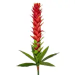 GloboStar® Artificial Garden RED GINGER BUD BRANCH 21393 Τεχνητό Διακοσμητικό Κόκκινο Κλαδί Ginger Y124cm - Image 3