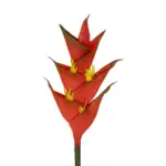 GloboStar® Artificial Garden RED PEACOCK BRANCH 21398 Τεχνητό Διακοσμητικό Κλαδί Κόκκινο πουλί του παραδείσου Y90cm - Image 3