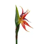 GloboStar® Artificial Garden ORANGE STELIZIA BRANCH 21399 Τεχνητό Διακοσμητικό Κλαδί  Πορτοκαλί Στρελίτζια Y82cm - Image 3