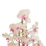 GloboStar® Artificial Garden BUTTERFLY ORCHID BONSAI 21400 Τεχνητό Διακοσμητικό Φυτό Ορχιδέα Μ34 x Π27 x Υ65cm - Image 3