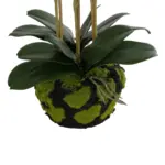 GloboStar® Artificial Garden BUTTERFLY ORCHID BONSAI 21400 Τεχνητό Διακοσμητικό Φυτό Ορχιδέα Μ34 x Π27 x Υ65cm - Image 4