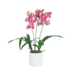 GloboStar® Artificial Garden PINK CHERRY CYMBIDIUM 21402 Διακοσμητικό Φυτό Φούξια Κυμβίδιο Υ60cm - Image 2