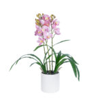 GloboStar® Artificial Garden PALE PINK CHERRY CYMBIDIUM 21403 Διακοσμητικό Φυτό Ροζ Κυμβίδιο Υ60cm - Image 2