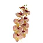 GloboStar® Artificial Garden PING SALMON ORCHID BRANCH 21405 Τεχνητό Διακοσμητικό Κλαδί  Ροζ Ορχιδέα Y95cm - Image 3